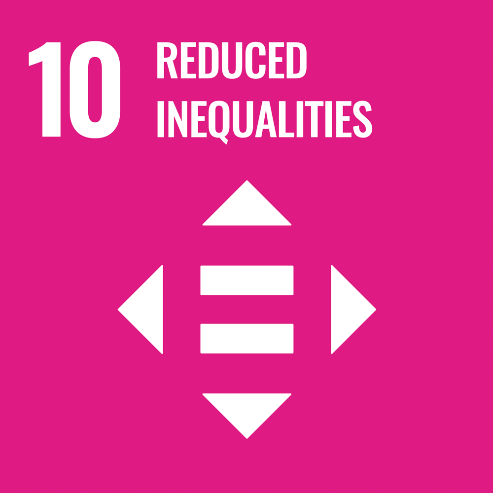 icon  - Reduced inequalities