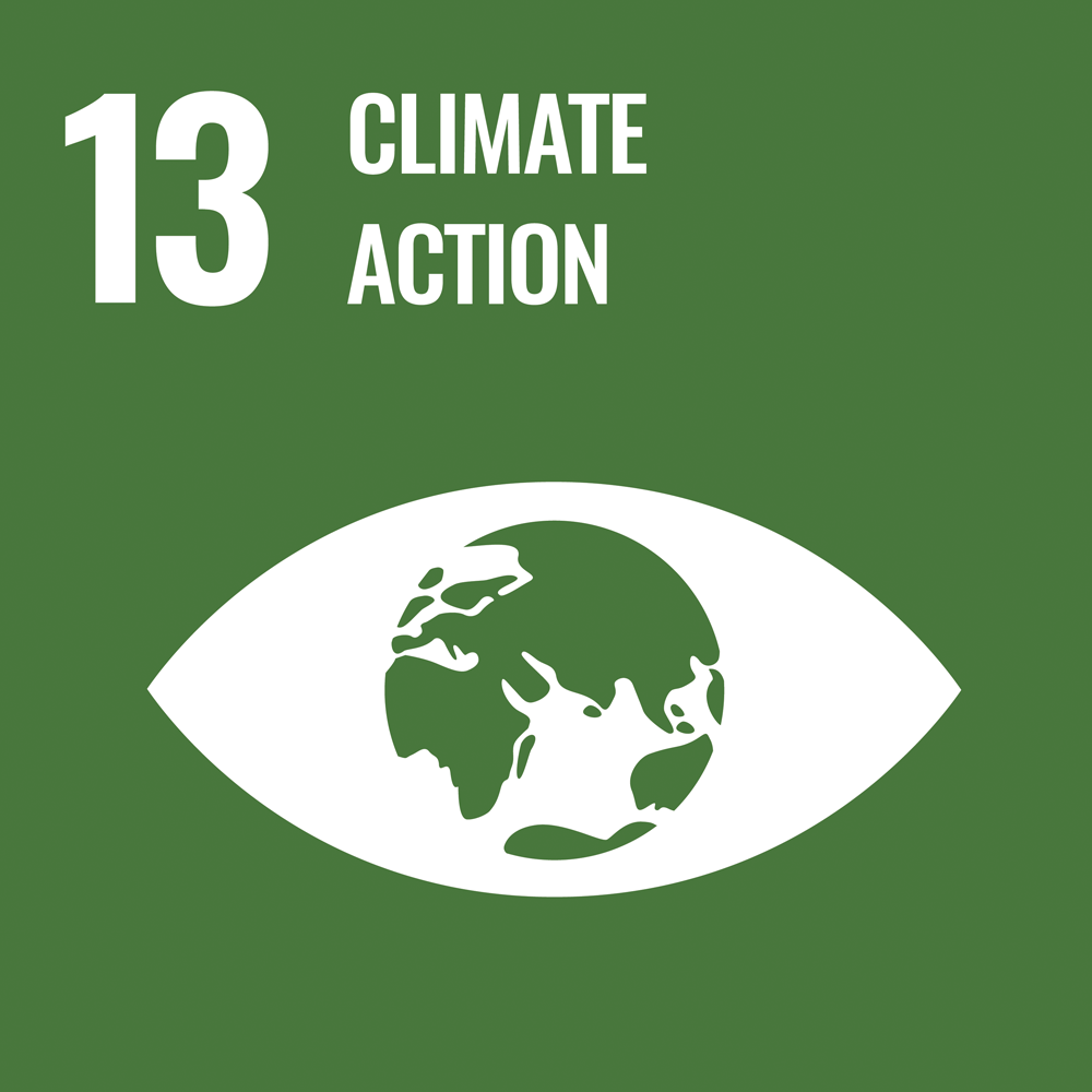 icon  - Climate action