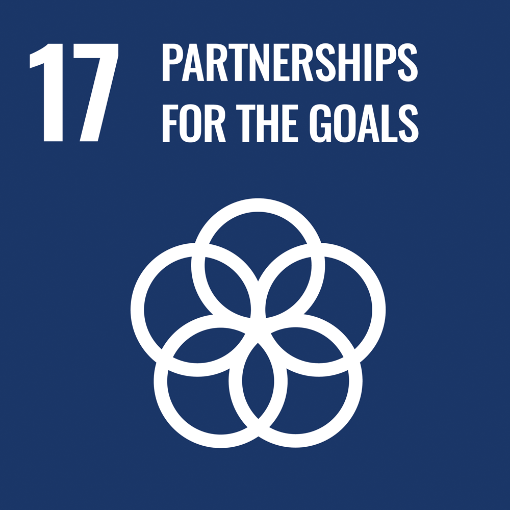 icon  - Partnerships for the goals